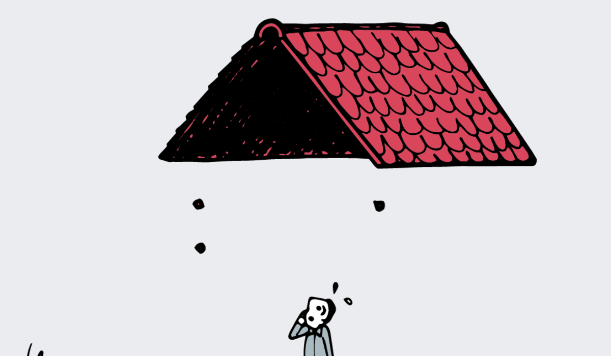 LA CASA POR EL TEJADO